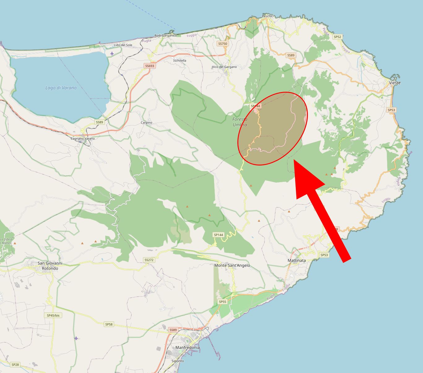 Foresta Umbra Dark Forest in the heart of the Gargano National Park