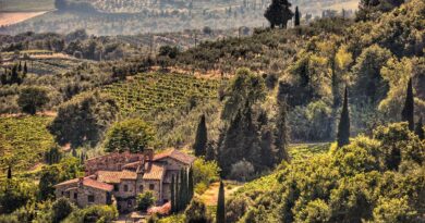 Toskania – mapa, atrakcje,  plan zwiedzania, wycieczki, najpiękniejsze miejsca