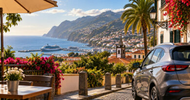 Samochód na wynajem na ulicy w Funchal z widokiem na port, ocean i góry Madery